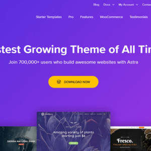 Astra WordPress Theme
